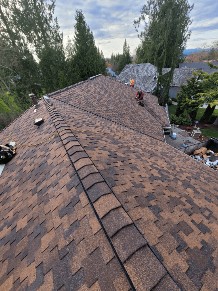 emergency roofing services in Bellevue