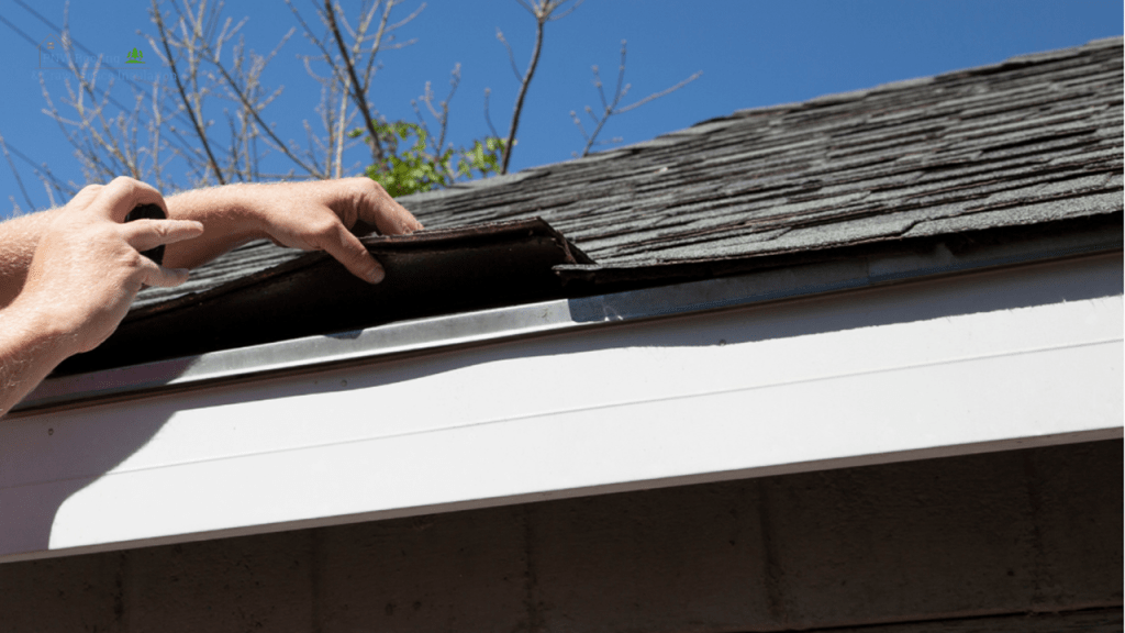roof inspection in Bellevue